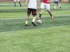 谁是超级巨,胜利即第五,败北入附加,开云体育,开云体育官网,开云体育app,开云体育平台,KAIYUN,SPORTS,kaiyun登录入口