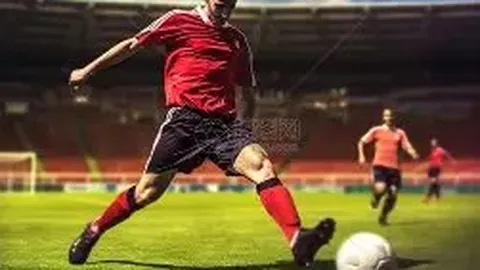 上海税务部门依法处置郑爽涉税违规事件