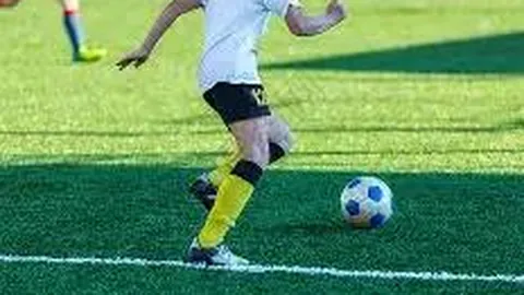 开运体育app 资讯 113723 b7j