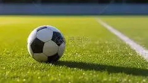 开运体育app 产品 113652 2zi