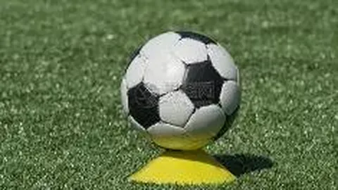 湖北体育职业学院学生在黄冈进行社会实践活动