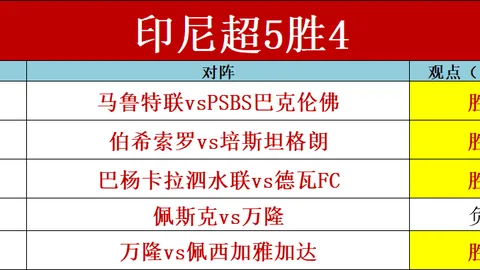 鹏城星光：深圳足球梦想之旅